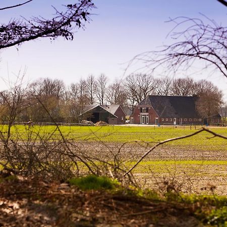 Bed And Breakfast Geertruidahoeve ヘレンドールン エクステリア 写真